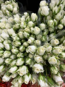 1B09DC1E-F730-49FA-8D1F-4535D1EE75CE