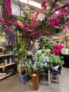 8761D356-25BD-436C-8E08-95F60CCB63F9